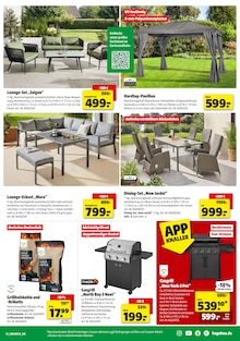 Briketts im Hagebaumarkt Prospekt "HOL DIR FREUDE IN DEINEN GARTEN" mit 22 Seiten (Karlsruhe)