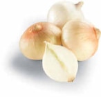 Süße Zwiebeln im aktuellen Netto Marken-Discount Prospekt