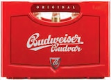 Aktuelle Budweiser Angebote bei Netto mit dem Scottie in Dresden Aktuelles Premium Lager Angebot bei Netto mit dem Scottie in Dresden ab 12,99 €