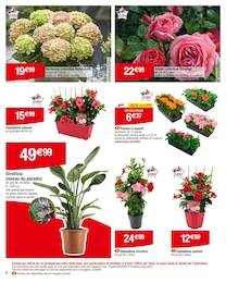 Offre Rosier dans le catalogue Carrefour du moment à la page 4