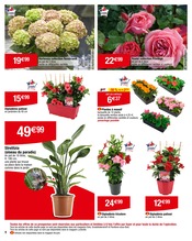 Hortensia Angebote im Prospekt "Carrefour" von Carrefour Hortensia Angebote im Prospekt "Carrefour" von Carrefour auf Seite 4