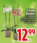 2-Trieber Orchidee von  im aktuellen EDEKA Prospekt für 12,99 €