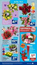 Aktueller ALDI SÜD Prospekt mit Orchidee, "Gutes für Alle.", Seite 19