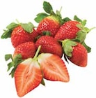 Netto mit dem Scottie - Erdbeeren Angebot im Prospekt Erdbeeren bei Netto mit dem Scottie im Prospekt "" für 2,99 €