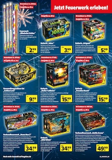 Aktueller Hagebaumarkt Meppen Prospekt "Feuerwerksverkauf" mit 4 Seiten