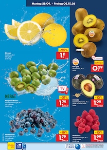 Obst im aktuellen Netto Marken-Discount Prospekt (Dresden) Obst im Netto Marken-Discount Prospekt "Aktuelle Angebote" mit 71 Seiten (Dresden)