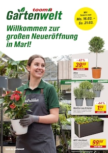 Aktueller toom Baumarkt Prospekt (Herten, 8 Seiten zum blättern toom Baumarkt Prospekt Willkommen zur großen Neueröffnung! mit 8 Seiten