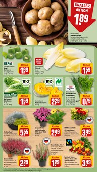 Pflanzen im aktuellen REWE Prospekt (Mönchengladbach) Pflanzen im REWE Prospekt "Dein Markt" mit 34 Seiten (Mönchengladbach)