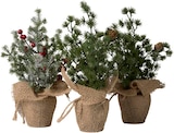 Deko-Weihnachtsbaum im Angebot bei Rusta in Dessau-Roßlau Deko-Weihnachtsbaum Angebote bei Rusta Dessau-Roßlau für 2,99 €