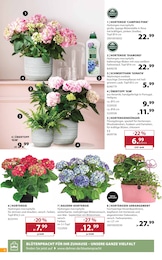 Dehner Garten-Center Gartenpflege im Prospekt 