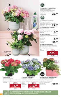 Hortensie im Dehner Garten-Center Prospekt "Aktuelle Angebote" mit 18 Seiten (Bottrop)