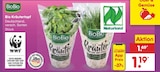 Kräutertopf im Angebot bei Netto Marken-Discount in Solingen Kräutertopf Angebote von BioBio bei Netto Marken-Discount Solingen für 1,19 €