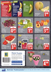 Aktueller EDEKA Prospekt mit Pflanzen, "Top Angebote", Seite 2