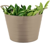 Panier souple - Parkside en promo chez Lidl Villeneuve-d'Ascq à 3,99 €