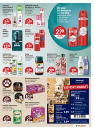 V-Markt Drogerie im Prospekt 