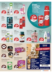 Aktueller V-Markt Prospekt mit Gillette, "V-Markt einfach besser einkaufen", Seite 17