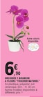 Orchidée 1 branche 4 fleurs 'Toucher Naturel' - E.Leclerc Orchidée 1 branche 4 fleurs 'Toucher Naturel' à 6,90 € dans le catalogue E.Leclerc