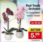 Real Touch Orchidee im aktuellen Zimmermann Prospekt