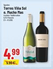 Trinkgut Sendenhorst - Viña Sol Angebot im Prospekt Viña Sol bei Trinkgut im Sendenhorst Prospekt für 4,99 €