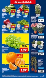 Ähnliche Zugluftstopper Angebote im Prospekt "LIDL LOHNT SICH" von Lidl in Leipzig Ähnliche Angebote wie Zugluftstopper im Prospekt "LIDL LOHNT SICH" auf Seite 3 von Lidl in Leipzig