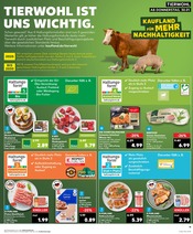 Aktueller Kaufland Prospekt mit Schweineschnitzel, "Aktuelle Angebote", Seite 11