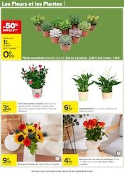 Plantes Angebote im Prospekt "BARBECUE & SALADE D'ÉTÉ" von Carrefour Plantes Angebote im Prospekt "BARBECUE & SALADE D'ÉTÉ" von Carrefour auf Seite 45