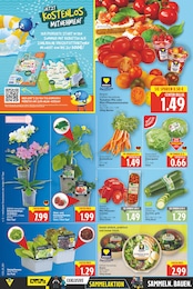 Erdbeeren Angebot & Preis im aktuellen E center Prospekt Erdbeeren Angebot im aktuellen E center Prospekt auf Seite 2