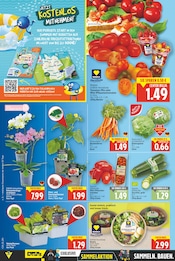 Orchidee Angebote im Prospekt "Aktuelle Angebote" von E center auf Seite 2