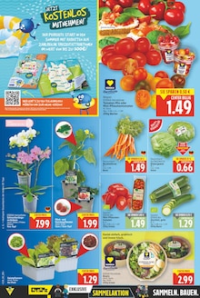 Erdbeeren im E center Prospekt "Aktuelle Angebote" mit 22 Seiten (Berlin)