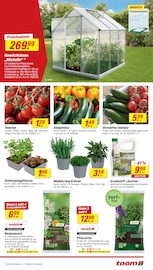 Aktueller toom Baumarkt Prospekt mit Tomaten, "Respekt, wer's selber macht.", Seite 3