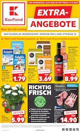 Aktueller Kaufland Prospekt "EXTRA-ANGEBOTE" mit 8 Seiten