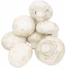 EDEKA Painten - Riesenchampignons Angebot im Prospekt Riesenchampignons bei EDEKA im Painten Prospekt für