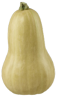 Kürbis Butternut im Angebot bei METRO in Cottbus Kürbis Butternut Angebote bei METRO Cottbus