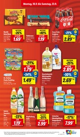 Cola im Lidl Prospekt in Walldorf Aktueller Lidl Prospekt mit Cola, "LIDL LOHNT SICH", Seite 13