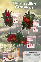Grablicht im Garten-Center Nordharz GmbH & Co. KG Prospekt in Kassel Aktueller Garten-Center Nordharz GmbH & Co. KG Prospekt mit Grablicht, "Der Herbst sooo schön", Seite 4