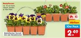 Beetpflanzen Angebote bei Netto Marken-Discount Ravensburg für 2,49 €