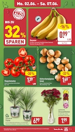 Bananen im ALDI Nord Prospekt in Bad Oeynhausen Aktueller ALDI Nord Prospekt mit Bananen, "Aktuelle Angebote", Seite 9