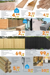 Holz Angebot im aktuellen Globus-Baumarkt Prospekt auf Seite 8
