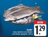 Forelle Angebote bei EDEKA Gera für 1,29 €