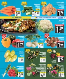 EDEKA Pilze im Prospekt 