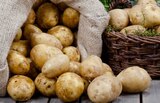 Speisekartoffeln mehligkochend bei EDEKA im Prospekt "" für 1,79 €