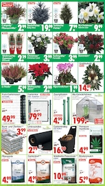 Aktueller Wreesmann Prospekt mit Gartenerde, "DEIN SAISON- & SONDERPOSTENMARKT!", Seite 8