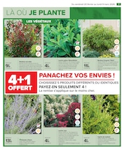 Photinia Angebote im Prospekt "JARDIN LÀ OÙ LA VIE SE CULTIVE" von Carrefour Photinia Angebote im Prospekt "JARDIN LÀ OÙ LA VIE SE CULTIVE" von Carrefour auf Seite 9