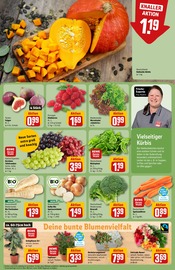 Broccoli Angebote im Prospekt "Dein Markt" von REWE auf Seite 9