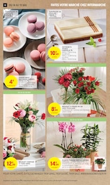 Fleurs Angebote im Prospekt "50% REMBOURSÉS EN BONS D'ACHAT SUR TOUT LE RAYON ENTRETIEN" von Intermarché auf Seite 12