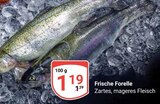 Frische Forelle im Angebot bei GLOBUS in Bruchsal Frische Forelle Angebote bei GLOBUS Bruchsal für 1,19 €