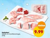 Penny-Markt - Kaninchen Angebot im Prospekt Kaninchen bei Penny-Markt im Prospekt für 9,99 €