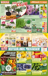 Silvester Angebot im aktuellen Norma Prospekt auf Seite 14