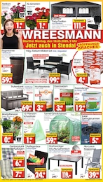 Wreesmann Prospekt für Stendal mit 16 Seiten Wreesmann Prospekt für Stendal: "DEIN SAISON- & SONDERPOSTENMARKT!", 16 Seiten, 18.05.2026 - 22.05.2026