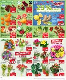 Tulpen Angebot im aktuellen Kaufland Prospekt auf Seite 10